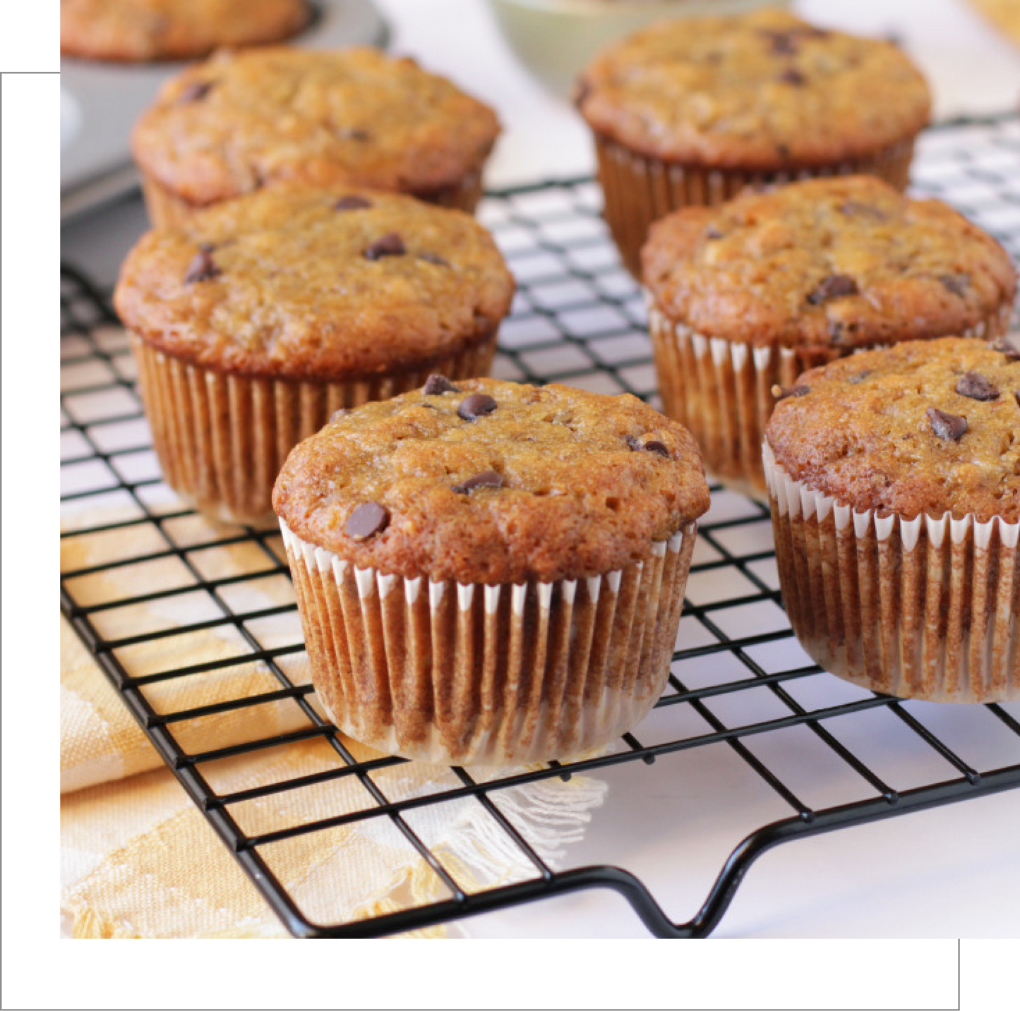 Banana Chocolate Chip Bread/Muffin Mix